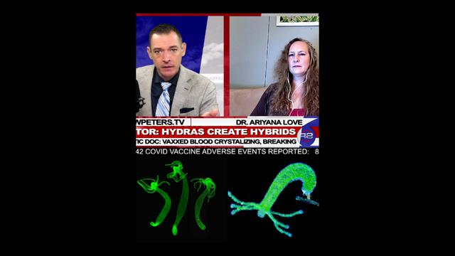 DR. ARIYANA LOVE REVEALS HYDRA PARASITE USED TO TURN HUMANS INTO NEW HYBRID SPECIES! STEW PETERS TV