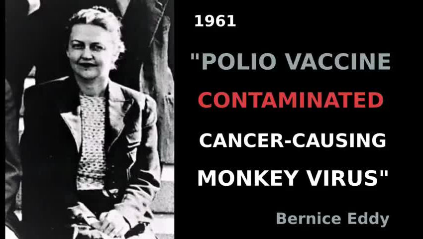 Poliovaccin besmet met kankerveroorzakend apenvirus
