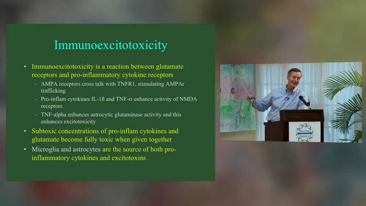 The Vaccine Safety Conference - Dr. Russell Blaylock, MD, CC