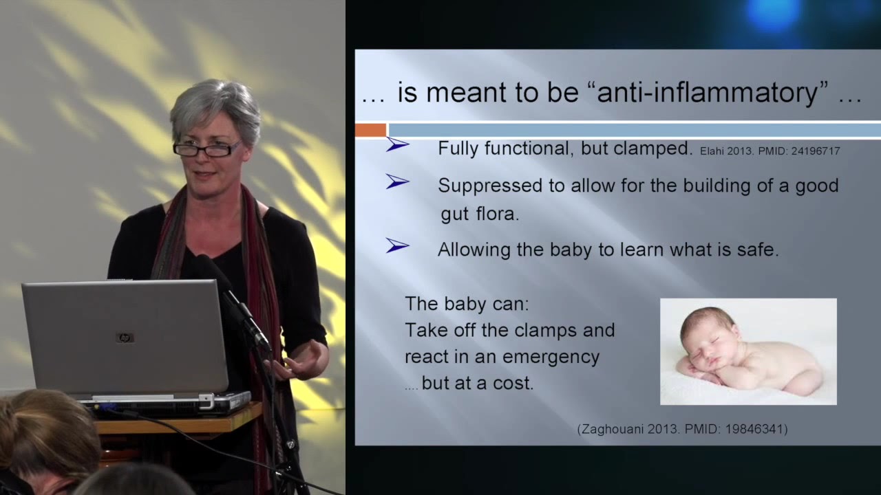 IInfant Immunity Part IV_ Infant vaccination with Dr Suzanne Humphries
